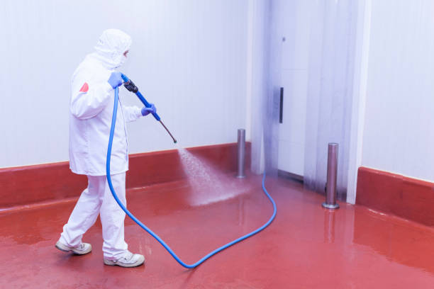 Common Surfaces That Benefit from Pressure Cleaning