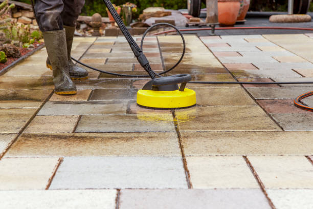 Best Driveway Pressure Washing  in Pelahatchie, MS